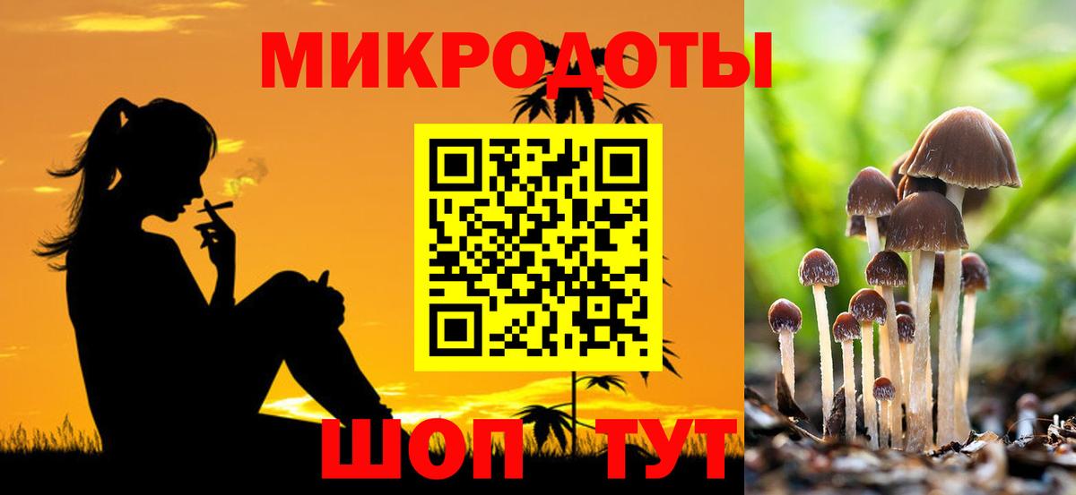Нижнекамск  Псилоцибиновые грибы ЛСД  Вход с VPN 